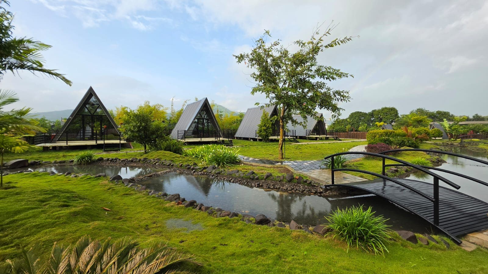 Evening view of resort lawns with decorative greenery